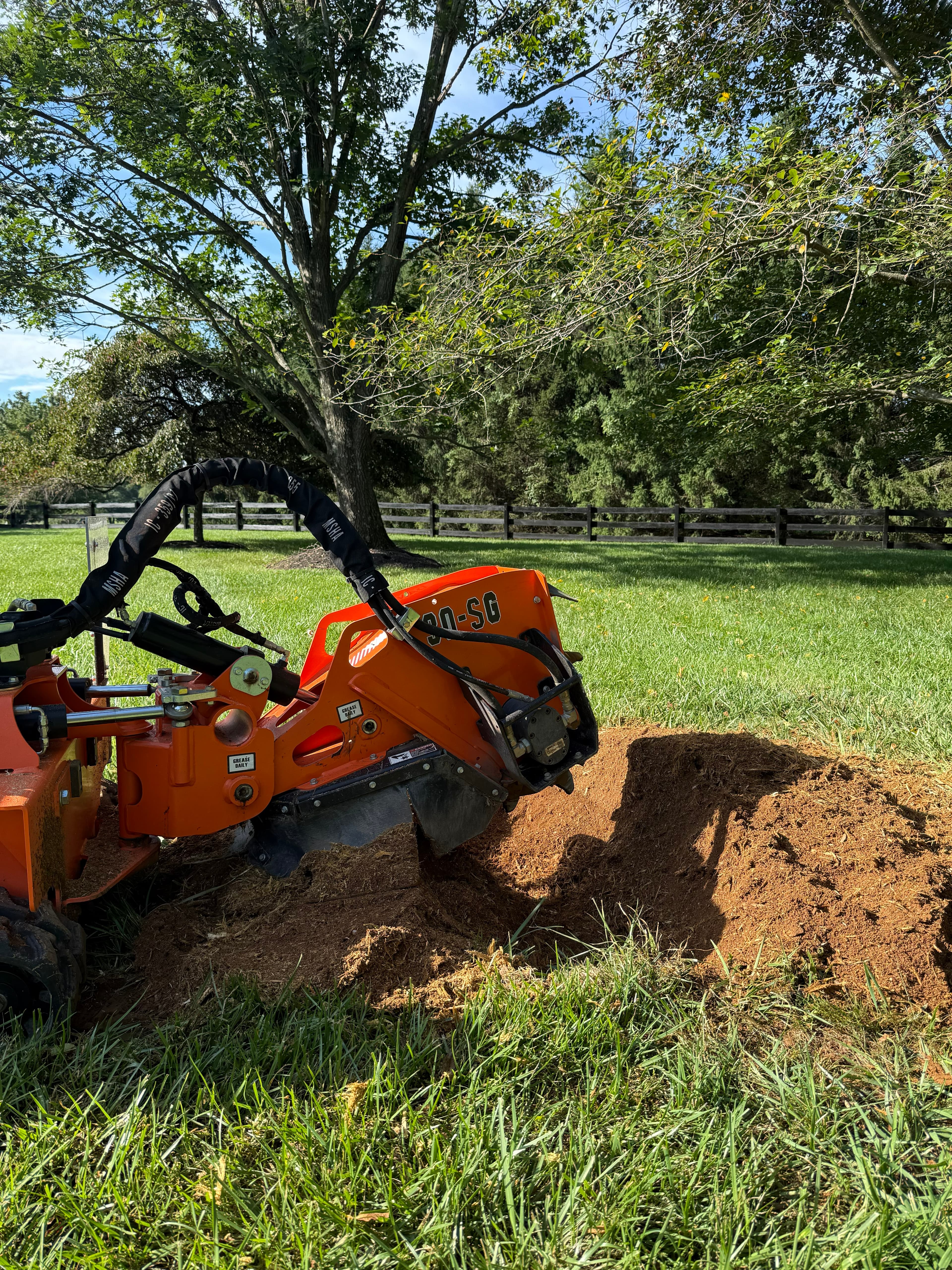 DIY Stump Grinding vs. Hiring a Professional in Northern Virginia