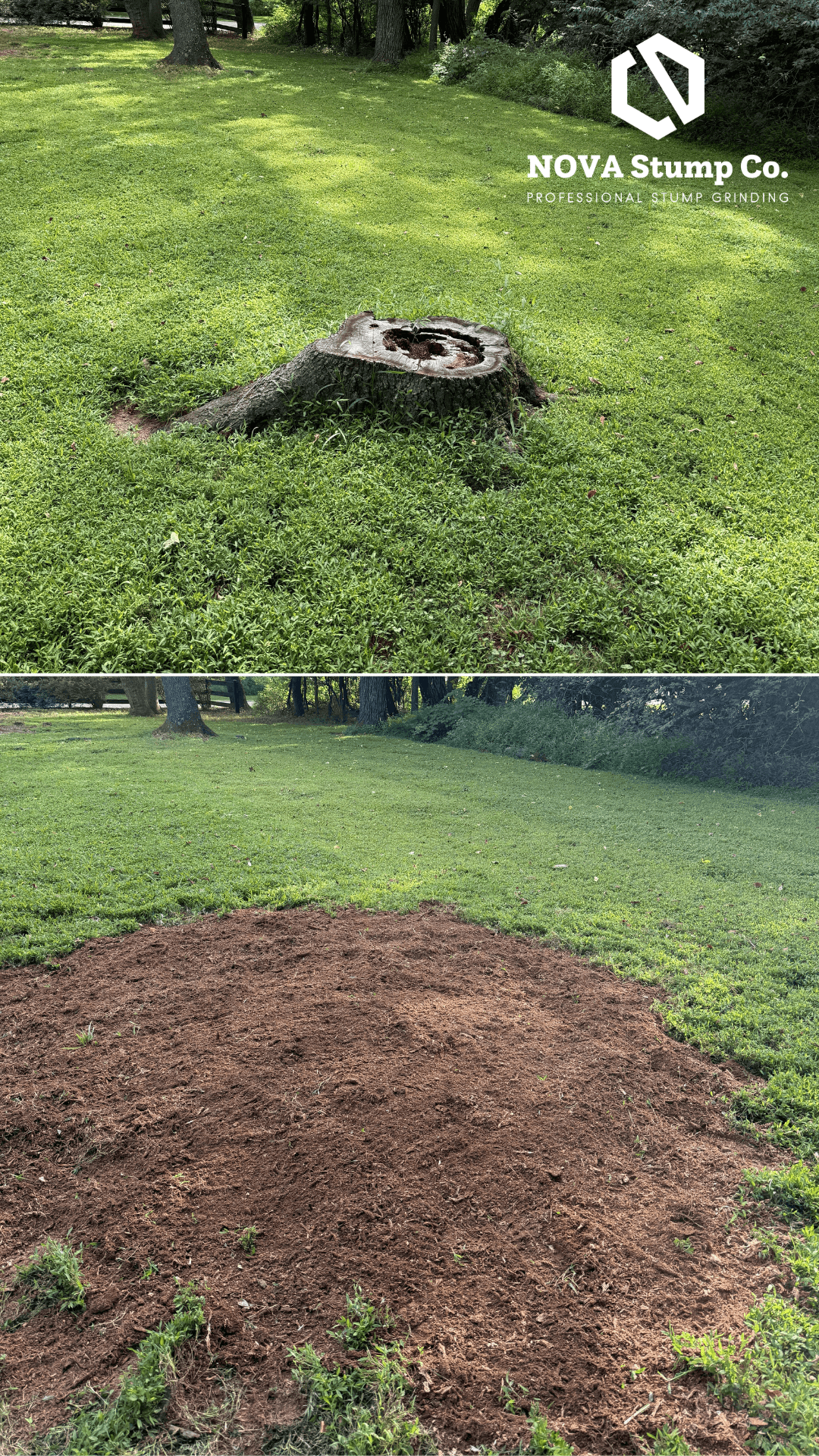 Before and after comparison of a tree stump in a lawn replaced by fresh mulch.
